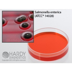 Hardy Diagnostic G277 Dry Culture Media, XLT4 Agar Plate,  60 Day Shelf Life (Pack of 10)