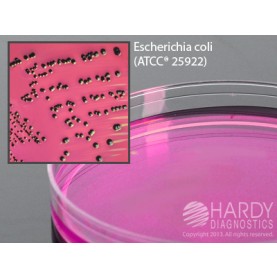 Hardy Diagnostic G28 Dry Culture Media, m Endo Les Agar Plate,  70 Day Shelf Life (Pack of 10)