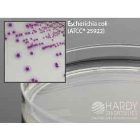 Hardy Diagnostic G303 Dry Culture Media, HardyCHROM ECC Plate,  60 Day Shelf Life (Pack of 10)