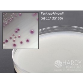 Hardy Diagnostic G305 Dry Culture Media, HardyCHROM O157 Plate,  60 Day Shelf Life (Pack of 10)