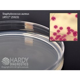 Hardy Diagnostic G311 Dry Culture Media, HardyCHROM Staph aureus Plate,  90 Day Shelf Life (Pack of 10)