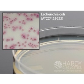 Hardy Diagnostic G313 Dry Culture Media, HardyCHROM UTI Plate,  90 Day Shelf Life (Pack of 10)