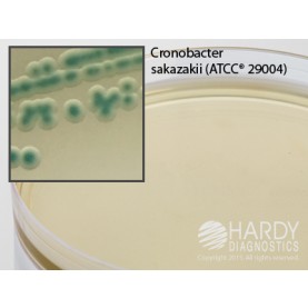 Hardy Diagnostic G315 Dry Culture Media, HardyCHROM sakazakii Plate,  60 Day Shelf Life (Pack of 10)