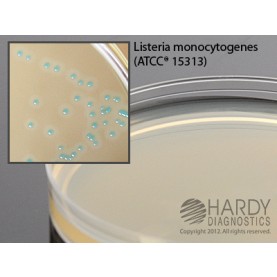 Hardy Diagnostic G317 Dry Culture Media, HardyCHROM Listeria Plate,  60 Day Shelf Life (Pack of 10)