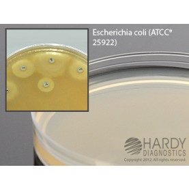 Hardy Diagnostic G345 Liquid Culture Media, Mueller Hinton Agar Plate,  20 mL, 90 Day Shelf Life (Pack of 10)