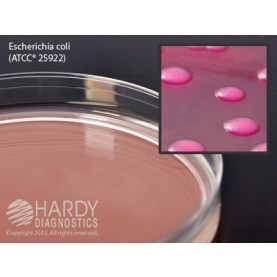 Hardy Diagnostic G35 Dry Culture Media, MacConkey Agar Plate,  90 Day Shelf Life (Pack of 10)