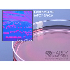 Hardy Diagnostic G37 Dry Culture Media, MacConkey Agar w/ MUG Plate,  90 Day Shelf Life (Pack of 10)