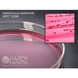 Hardy Diagnostic G40 Dry Culture Media, Mannitol Salt Agar Plate,  120 Day Shelf Life (Pack of 10)