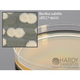 Hardy Diagnostic G41 Dry Culture Media, TSA w/ Lec & Tween een Plate,  90 Day Shelf Life (Pack of 10)