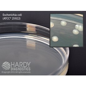 Hardy Diagnostic G43 Dry Culture Media, Standard Methods Agar Plate,  120 Day Shelf Life (Pack of 10)