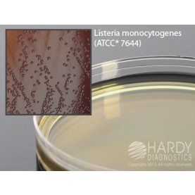 Hardy Diagnostic G46 Dry Culture Media, Oxford Medium Plate,  90 Day Shelf Life (Pack of 10)