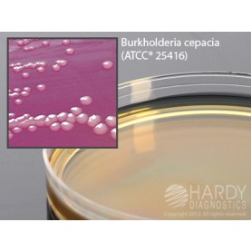 Hardy Diagnostic G48 Dry Culture Media, PC Agar Plate,  100 Day Shelf Life (Pack of 10)