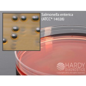 Hardy Diagnostic G50 Dry Culture Media, SS Agar Plate,  90 Day Shelf Life (Pack of 10)