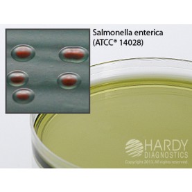 Hardy Diagnostic G58 Dry Culture Media, Tergitol 7 Agar w/ TTC Plate,  90 Day Shelf Life (Pack of 10)