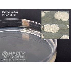 Hardy Diagnostic G60 Dry Culture Media, TSA Plate,  90 Day Shelf Life (Pack of 10)