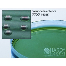 Hardy Diagnostic G63 Dry Culture Media, HE Agar Plate,  80 Day Shelf Life (Pack of 10)