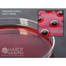 Hardy Diagnostic G65 Dry Culture Media, XLD Agar Plate,  100 Day Shelf Life (Pack of 10)