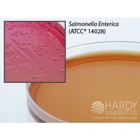 Hardy Diagnostic G75 Dry Culture Media, Brilliant Green Agar Plate,  90 Day Shelf Life (Pack of 10)