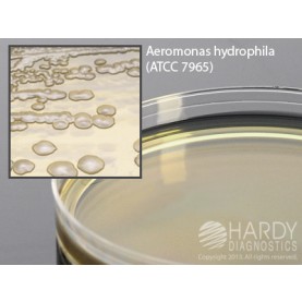 Hardy Diagnostic G79 Dry Culture Media, LB Agar Plate,  90 Day Shelf Life (Pack of 10)