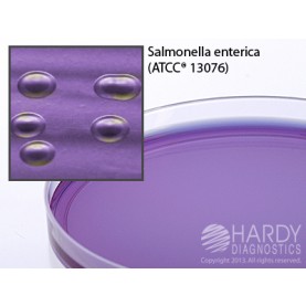 Hardy Diagnostic G86 Dry Culture Media, Modified LIA Agar Plate,  90 Day Shelf Life (Pack of 10)