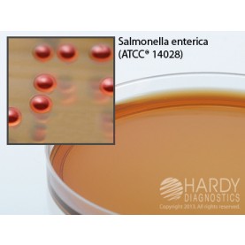 Hardy Diagnostic G87 Dry Culture Media, BG Sulfa Agar Plate,  90 Day Shelf Life (Pack of 10)