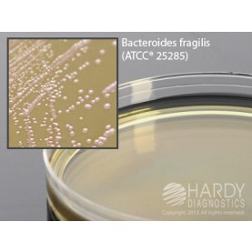 Hardy Diagnostic G89 Dry Culture Media, Wilkins-Chalgren Agar Plate,  90 Day Shelf Life (Pack of 10)