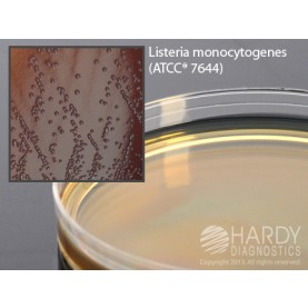 Hardy Diagnostic G92 Dry Culture Media, LPM Agar Plate,  90 Day Shelf Life (Pack of 10)