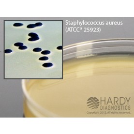 Hardy Diagnostic G96 Dry Culture Media, Baird Parker Agar Plate,  90 Day Shelf Life (Pack of 10)