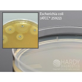 Hardy Diagnostic H11 Dry Culture Media, Mueller Hinton Agar Plate,  90 Day Shelf Life (Pack of 10)