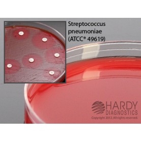 Hardy Diagnostic H21 Dry Culture Media, Mueller Hinton Agar w/ Blood Plate,  70 Day Shelf Life (Pack of 10)