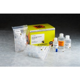 IBI Scientific PCR Fragment DNA Extraction Kit (100 Prep)