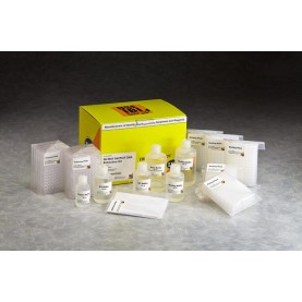 IBI Scientific PCR DNA Clean-Up Kit (2 x 96 Well)