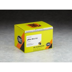 IBI Scientific gMAX Mini Genomic DNA Kit (4 Prep)