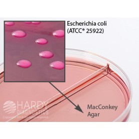 Hardy Diagnostic J118 Dry Culture Media, MacConkey / MacConkey Biplate,  90 Day Shelf Life (Pack of 10)