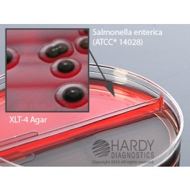 Hardy Diagnostic J131 Dry Culture Media, XLT-4/BGA w/ Sulfadiazine Biplate,  90 Day Shelf Life (Pack of 10)