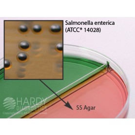 Hardy Diagnostic J139 Dry Culture Media, HE Agar/SS Agar Biplate,  80 Day Shelf Life (Pack of 10)