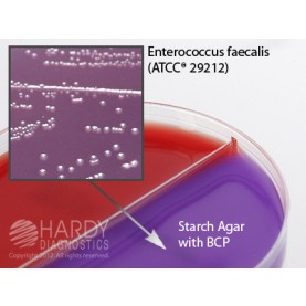 Hardy Diagnostic J181 Dry Culture Media, V Agar/Starch w/ BCP Biplate,  42 Day Shelf Life (Pack of 10)