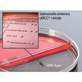 Hardy Diagnostic J22 Dry Culture Media, Blood Agar 5%/EMB Agar Biplate,  90 Day Shelf Life (Pack of 10)