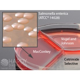 Hardy Diagnostic J314 Dry Culture Media, Cetrimide/MAC/VJ Triplate,  90 Day Shelf Life (Pack of 10)