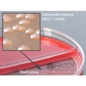 Hardy Diagnostic J32 Dry Culture Media, Blood 5%/MacConkey Biplate,  90 Day Shelf Life (Pack of 10)