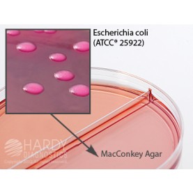 Hardy Diagnostic J49 Dry Culture Media, CIN/MacConkey w/ Sorbitol Biplate,  90 Day Shelf Life (Pack of 10)