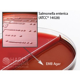 Hardy Diagnostic J52 Dry Culture Media, CNA Agar/EMB Agar Biplate,  80 Day Shelf Life (Pack of 10)