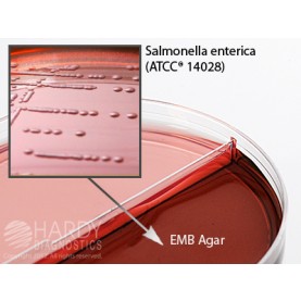 Hardy Diagnostic J58 Dry Culture Media, MacConkey/EMB Agar Biplate,  90 Day Shelf Life (Pack of 10)