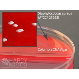 Hardy Diagnostic J62 Dry Culture Media, CNA/MacConkey Agar Biplate,  80 Day Shelf Life (Pack of 10)