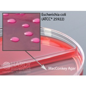 Hardy Diagnostic J85 Dry Culture Media, Rose/MacConkey Agar Biplate,  90 Day Shelf Life (Pack of 10)