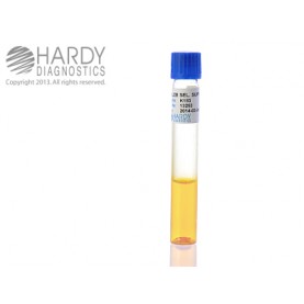 Hardy Diagnostic K183 Liquid Culture Media, BLEB Select Supp Tube,  3.4 mL, 180 Day Shelf Life (Pack of 20)