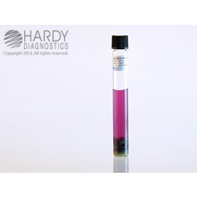 Hardy Diagnostic K215 Liquid Culture Media, PE2 Medium Tube,  19 mL, 365 Day Shelf Life (Pack of 20)