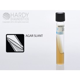 Hardy Diagnostic L29 Liquid Culture Media, Esculin Agar Slant Tube,  365 Day Shelf Life (Pack of 20)