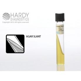 Hardy Diagnostic L36 Liquid Culture Media, BHI Agar Slant Tube,  365 Day Shelf Life (Pack of 20)