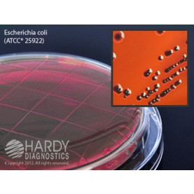 Hardy Diagnostic P09 Dry Culture Media, EMB Contact Plate,  90 Day Shelf Life (Pack of 10)